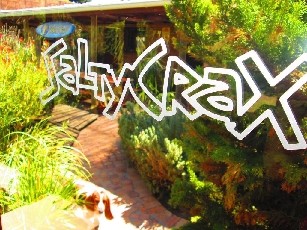 Saltycrax Backpackers And Surf Hostel By Curiocity Bloubergstrand Kültér fotó